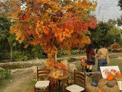 -HERRE·FARM 赫尔露营农场·团建聚会包场