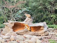-上海野生动物园