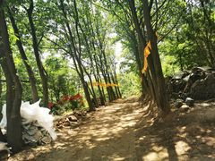 -秦岭风景区