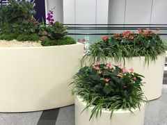 -福州长乐国际机场