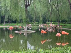 -石家庄市动物园