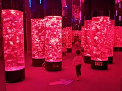 -成都浩海立方海洋公园