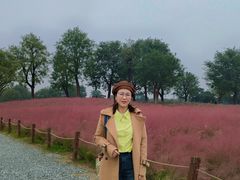 -汉长安城未央宫国家考古遗址公园