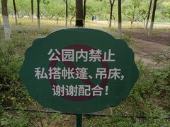 -大兴滨河森林公园