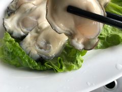 大蚝-蚝专家