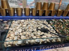 -丰卓会海鲜自助(中润大道店)