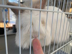 -小意思咖啡店(草桥店)
