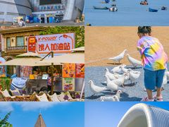 -烟台海昌鲸鲨海洋公园