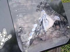 -海珠湖公园
