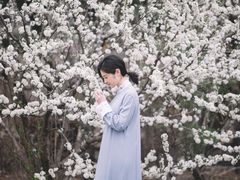 -爱新觉罗皇家博物院