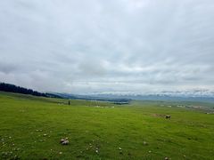 -新疆那拉提国家旅游度假区