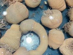 -龙宴海鲜城(经中路店)