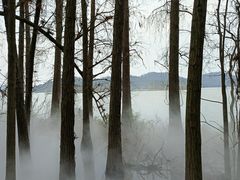 -东湖落雁景区
