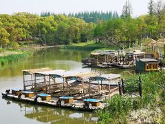 -上海长兴岛郊野公园