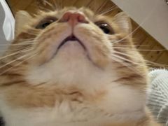 -栾川竹海野生动物园