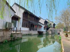 -鲁镇