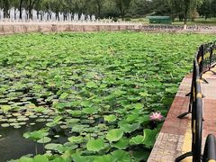 -青龙湖公园