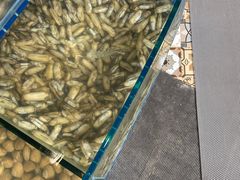 -蟹谢蒸鲜自助餐厅