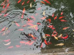 -石老人观光园