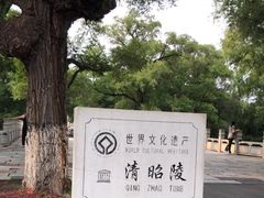 -北陵公园
