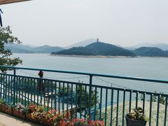 -望湖烤鱼