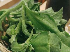 -王奋斗贵州酸汤牛肉火锅