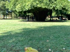 -汉水公园