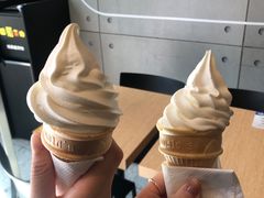 -麦当劳(科苑地铁站店)