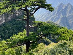 -圣莲山风景区
