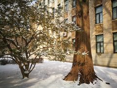 -大连理工大学(凌水校区)