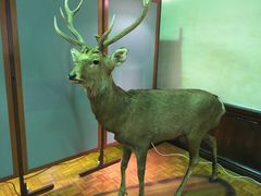 -北海道厅旧本厅舍(旧本庁舎)