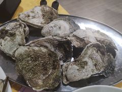 -蚝专家(北滘店)