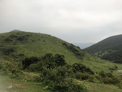 -大姆山草场