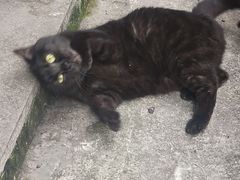 -野水沟小商品批发市场