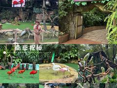 -广州长隆野生动物世界