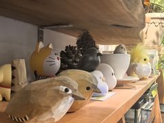 -吉丁鸟咖·异宠·寄养