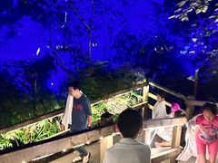 -花水湾第一村温泉大酒店