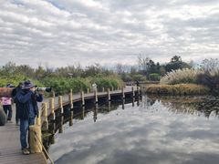 -西昌邛海湿地