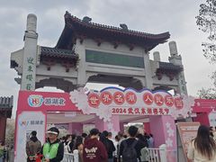 -东湖磨山景区樱花园-停车场