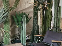 -HIHE Bistro·Oyster Bar(华熙live店)