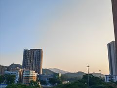 -深圳君悦酒店-游泳池