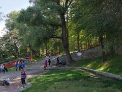 -阳台山自然风景区