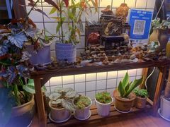 -Rabbit Cafe私房西餐甜点咖啡(栖霞路店)