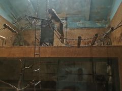 -石家庄市动物园