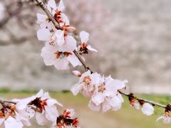 -北京明城墙遗址公园