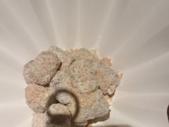 -解家河南菜(金水路店)