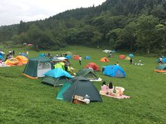 -武陵山森林公园