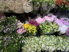 -花草间花行(法华镇路店)