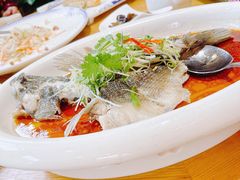 清蒸笋壳鱼-德胜轩正宗顺德菜(宝安沙井会展中心店)