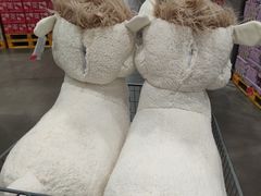 -山姆会员商店(邻瑞广场店)